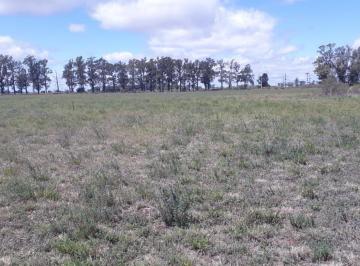 Terreno · 50000m² · Venta Fracción de Terreno - Monje - Santa Fe