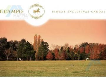 Terreno · 1098m² · Venta de Lote en Barrio - El Campo - Fincas Exclusivas Cardales Oportunidad!