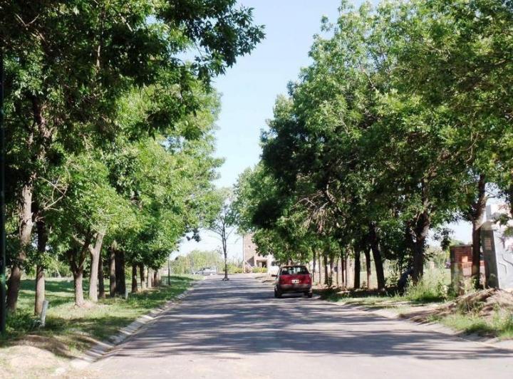 Terreno · 429m²