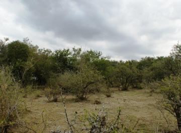 Terreno · 1170m² · Terreno en Tanti, Plano, Vegetación Autóctona, Agua. Villa Flor Serran