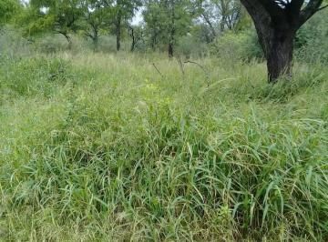 Foto · Santiago del Estero Campo 982 Has Titulo Perfecto Urgente Liquido Recprop