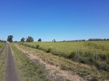 Campo de 1 ambiente, Villa Elisa · 3,6 Has Chacra en Villa Elisa Er