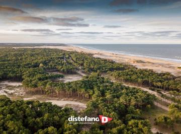 DIT-DT1-5616_3 · Lote. | Ameghino, Florentino Dr.