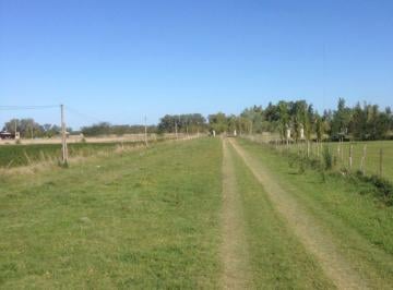 Campo , Mercedes · Venta 2 Lotes de 10.000 m² Mercedes Bs. As. Ruta 41 Km a Solo 8 Km de La Ciudad