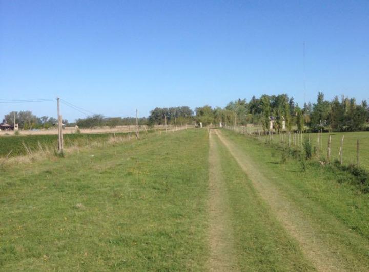 Campo