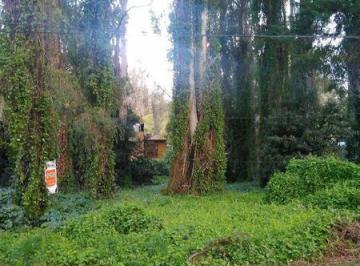 Terreno · 460m² · Lote en Zona de Bosque Denso.