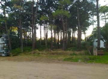 Terreno · 620m² · Lote Multifamiliar