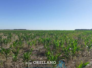 Quinta vacacional · Venta de 338 Ha de Campo Mixto en San Cayetano