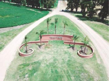 Terreno · 1200m² · Venta Terreno 1200 m² Club de Campo Tres Pinos General Rodriguez