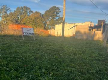 Terreno , Tapalqué · Terrenos Mb Ubicación