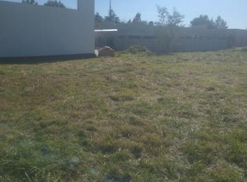 Terreno , Tapalqué · Terrenos Mb Ubicación