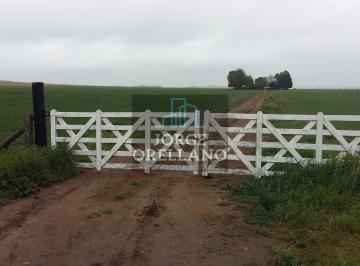Quinta vacacional · Vendo o Permuto 40 Ha de Campo Unicas en Balcarce