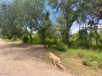 Terreno , Villa General Belgrano · Venta de Lote a m de Ruta N5 - Tlc0667
