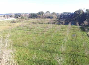Campo , Mercedes · Se Venden 2 Ha a Tan Solo 150 m de Ruta 41. Camino Consolidado