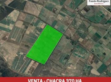 Campo · 3700000m² · Campo - Viedma