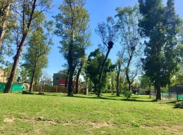 Terreno · 422m² · Terreno Lote en Venta en Francisco Álvarez