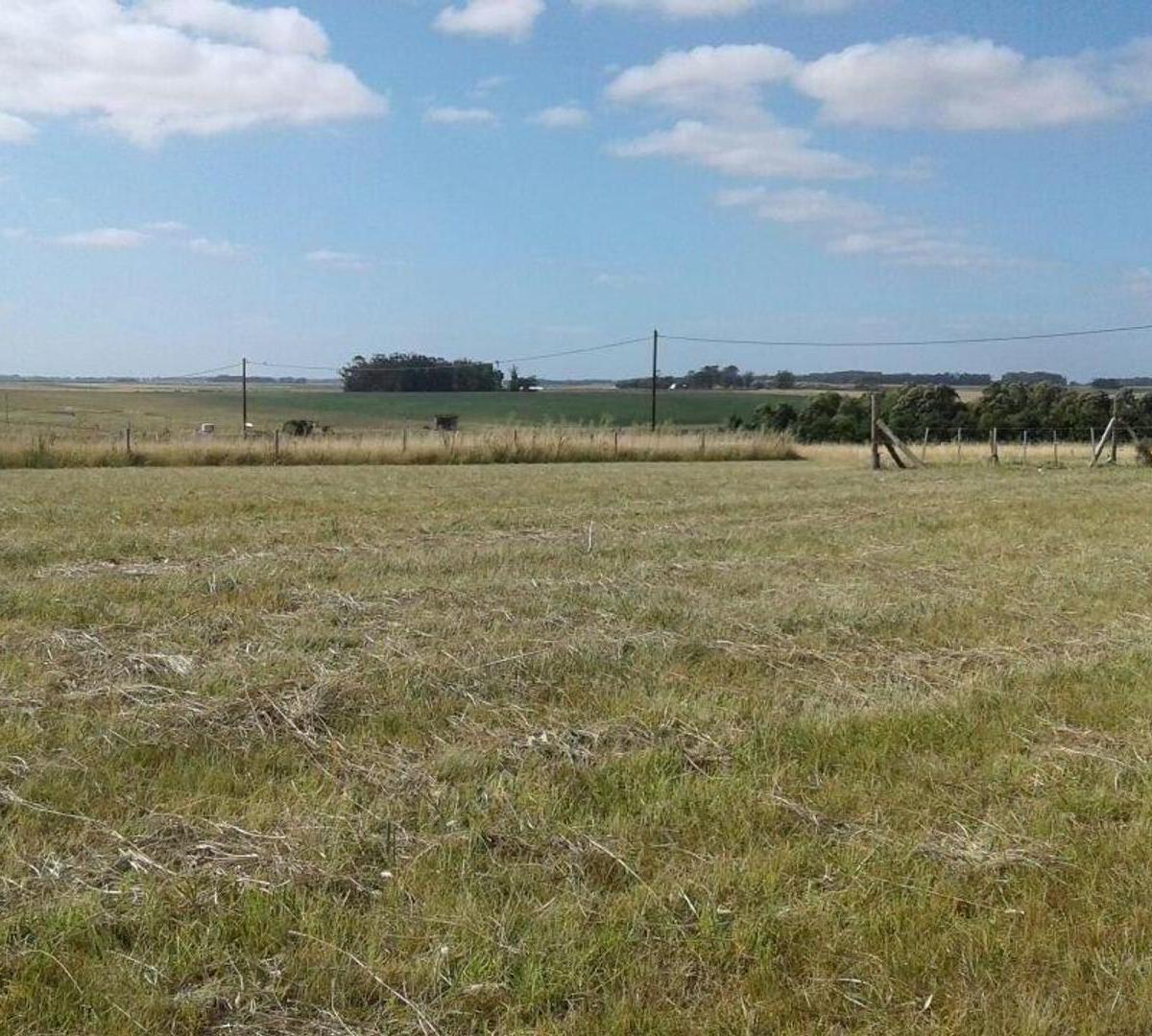 Lote 274 m² en Playa Los Lobos, zona en crecimiento