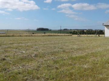 Terreno · 274m² · Lote Playa Los Lobos - Financia