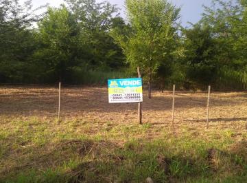 Terreno · 789m² · Terreno - Molinari