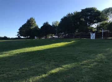 Campo · 1300000m² · 1 Ambiente · Los Molinos