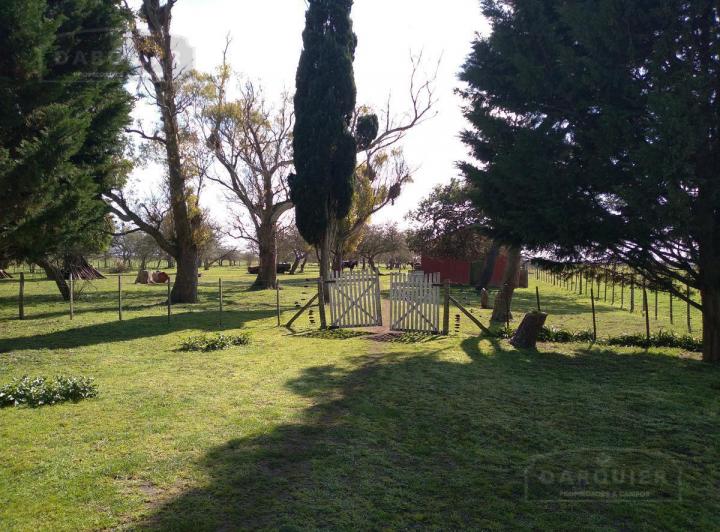 Campo · 506ha