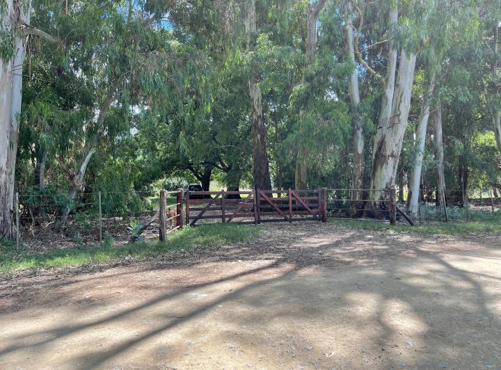Campo · 135m² · 3 Ambientes