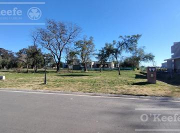 Terreno · 663m² · Excelente Lote Interno en San Juan Chico. Posesión Inmediata