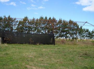 Quinta vacacional · Campo Mar Chiquita 38 Ha