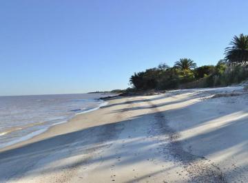 Campo · 520m² · 7 Ambientes · Maravillosa Chacra de 37,5 Ha con Casa a La Costa del Rio en Artilleros, Colonia, Uruguay.