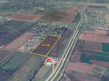 Campo · 93000ha · Campo - Roldan