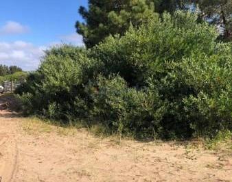 Terreno · 1006 Lote 425
