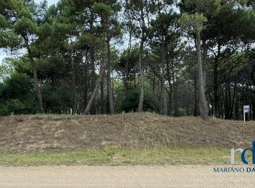 DEI-DEI-110_2 · Lote en Venta en Pinamar Zona Norte Playa
