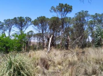 Terreno , Villa Yacanto · Venta de 3,7 Ha en Villa Yacanto - Tlc0707