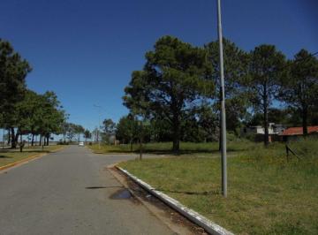 DIT-DIT-5702_2 · Lote. | Av San Bernardo