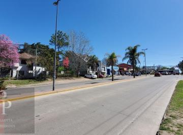 Terreno , Tigre · Lote Sobre Av Perón, Zona Comercial