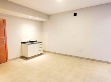 Departamento · 45m² · 1 Ambiente · Departamento - Barrio Norte