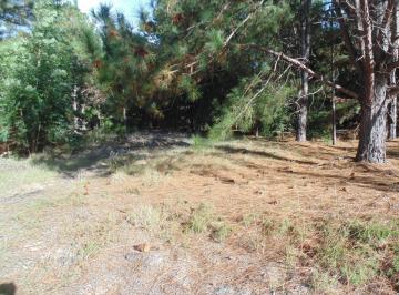 Terreno · 501m² · Terreno en Venta en Balneario Zagarzazú Carmelo