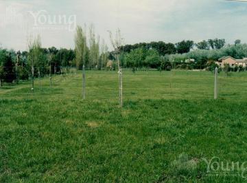Terreno · 4460m² · Terreno Venta Campos de Roca