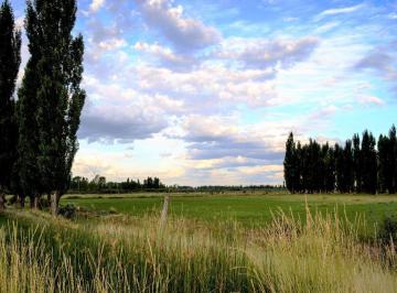 Campo · 240ha · Propiedades Rurales - Mixto - General Conesa