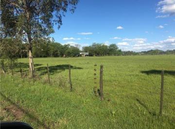 Campo · 100000m² · 1 Ambiente · Propiedades Rurales - 10 Ha en Ruta 28