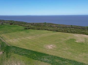 Campo · 37m² · 1 Ambiente · Venta Campo en Carmelo Uruguay