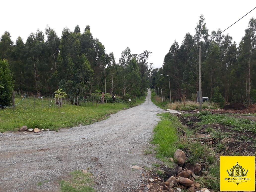 Lote de 38 x 130 mts. En zona "Rancho de Popy", a mts de Ruta 226.