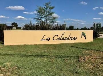 Terreno · 1354m² · Espectacular Lote en Barrio Privado Las Calandrias
