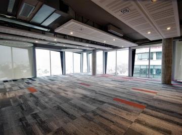 Oficina comercial · 700m² · Oficina - Palermo Hollywood
