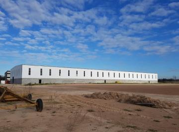 Bodega-Galpón · 5000m² · Galpón Deposito Industrial - Fatima