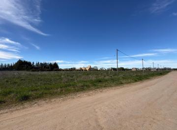 Terreno · 3259m² · Venta Terreno Barrio Vinelli - Lobos