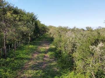 Terreno , La Población · Venta de Lotes en La Poblacion Cordoba