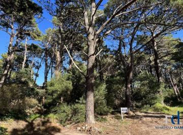 DEI-DEI-181_2 · Lote en Venta en Pinamar Zona Norte