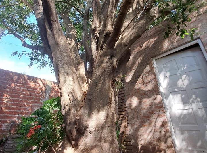 PH · 80m² · 3 Ambientes · 3 Cocheras