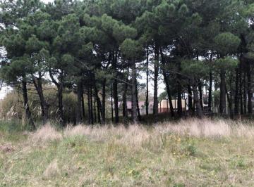 Terreno · 500m² · Lote - Nueva Atlantis - Oportunidad